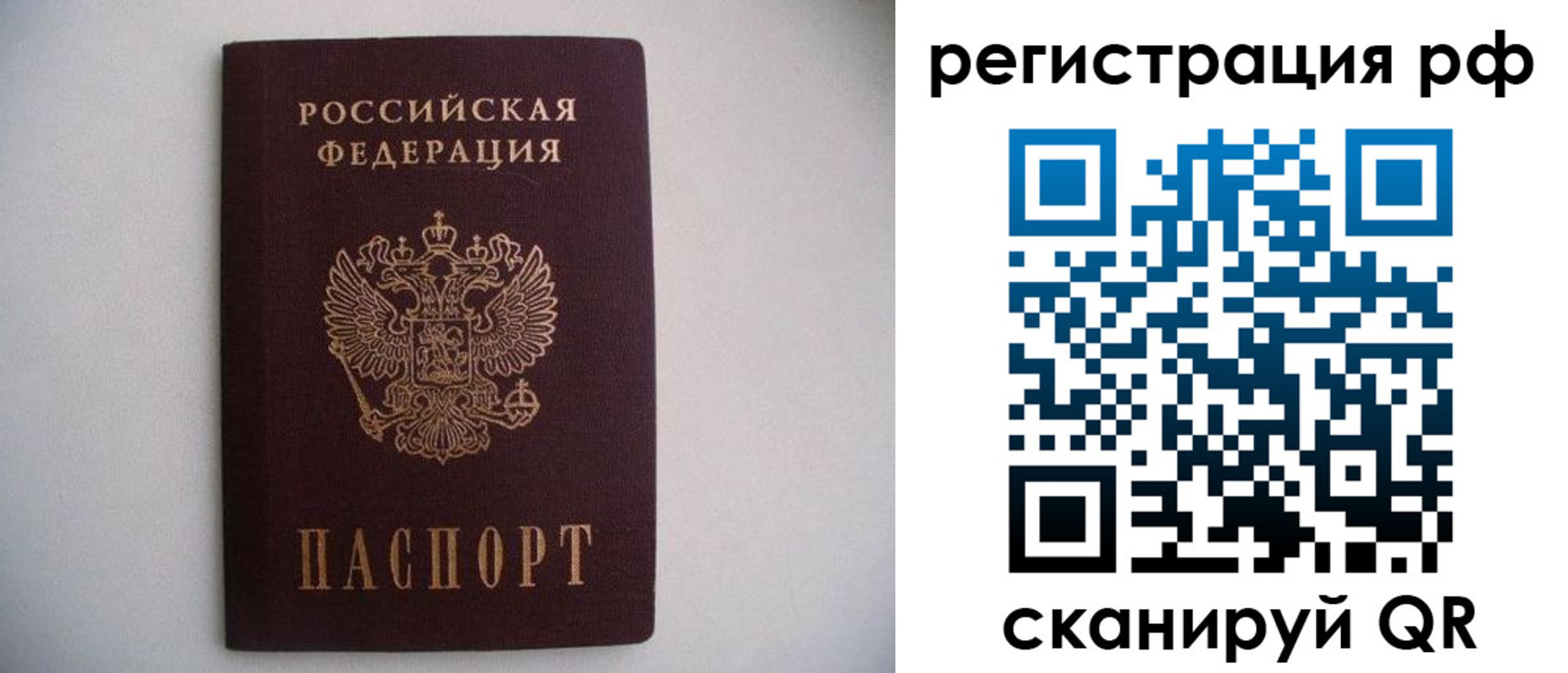 прописка в квартире в Гвардейске